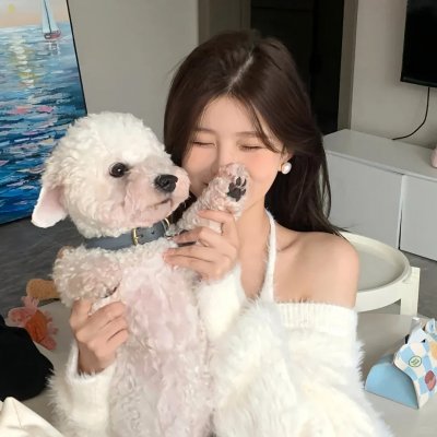 紧急盯梢令